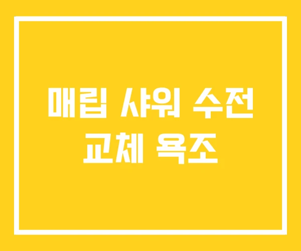 매립 샤워 수전 교체 욕조 매립 샤워 수전 교체 욕조