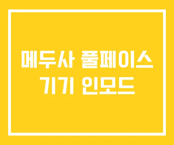 메두사 풀페이스 기기 인모드 메두사 풀페이스 기기 인모드