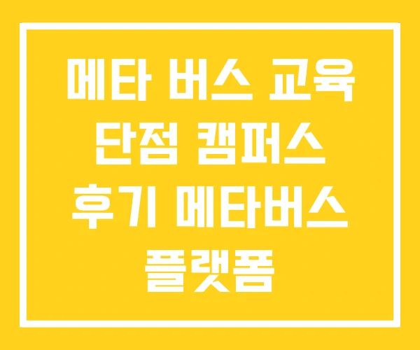 메타 버스 교육 단점 캠퍼스 후기 메타버스 플랫폼