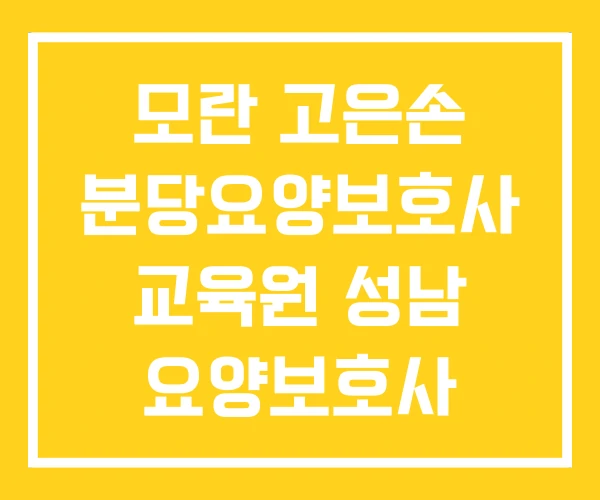 모란 고은손 분당요양보호사 교육원 성남 요양보호사 교육원