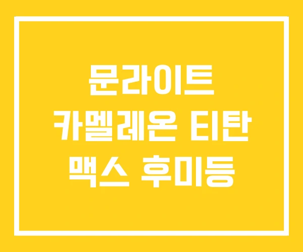 문라이트 카멜레온 티탄 맥스 후미등 문라이트 카멜레온 티탄 맥스 후미등