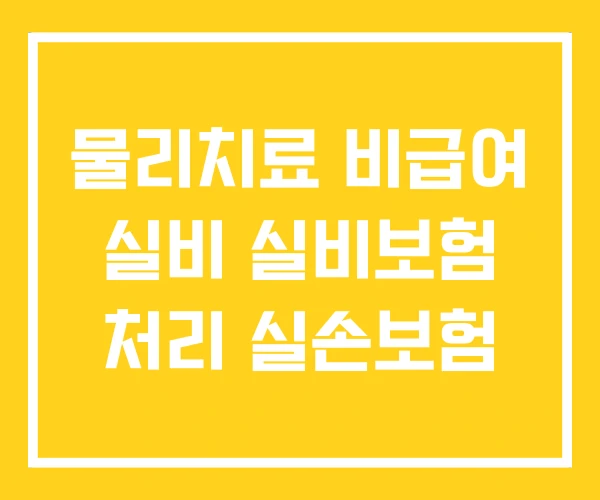 물리치료 비급여 실비 실비보험 처리 실손보험 물리치료 비급여 실비 실비보험 처리 실손보험