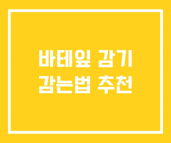 바테잎 감기 감는법 추천