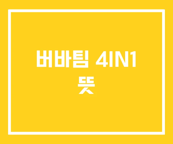 버바팀 4IN1 뜻 버바팀 4IN1 뜻