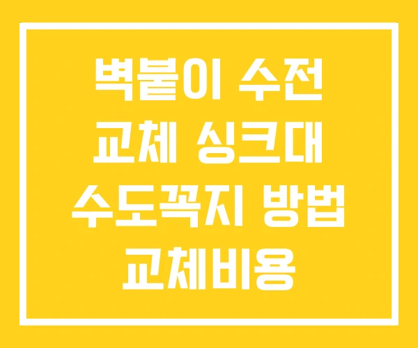벽붙이 수전 교체 싱크대 수도꼭지 방법 교체비용 벽붙이 수전 교체 싱크대 수도꼭지 방법 교체비용
