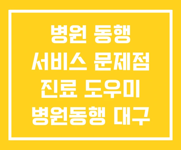 병원 동행 서비스 문제점 진료 도우미 병원동행 대구
