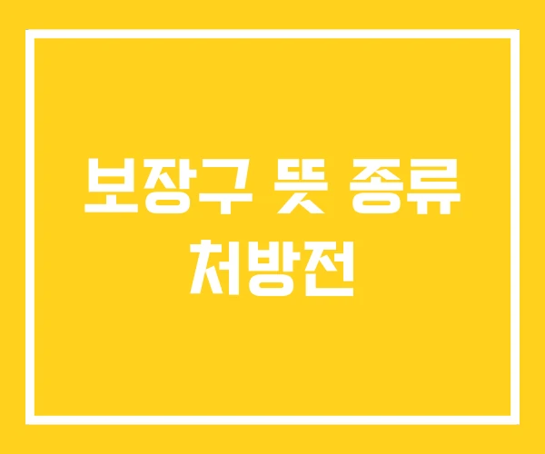 보장구 뜻 종류 처방전