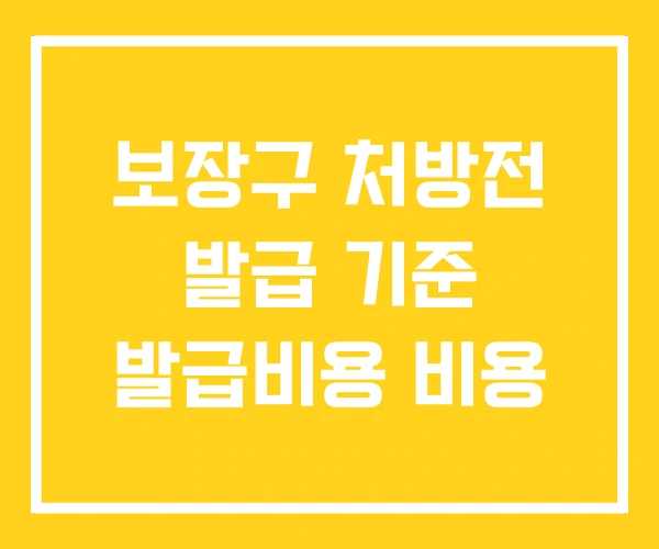 보장구 처방전 발급 기준 발급비용 비용 보장구 처방전 발급 기준 발급비용 비용