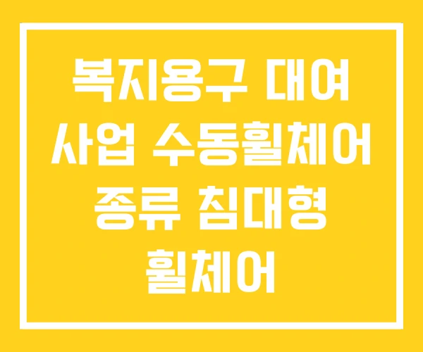복지용구 대여 사업 수동휠체어 종류 침대형 휠체어 복지용구 대여 사업 수동휠체어 종류 침대형 휠체어