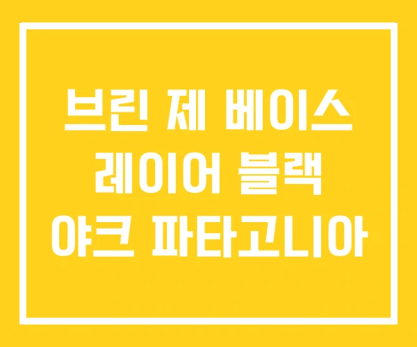 브린 제 베이스 레이어 블랙 야크 파타고니아 브린 제 베이스 레이어 블랙 야크 파타고니아