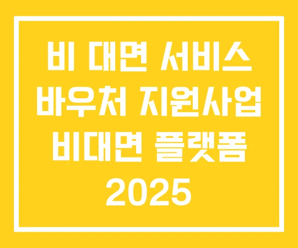 비 대면 서비스 바우처 지원사업 비대면 플랫폼 2025 비 대면 서비스 바우처 지원사업 비대면 플랫폼 2025