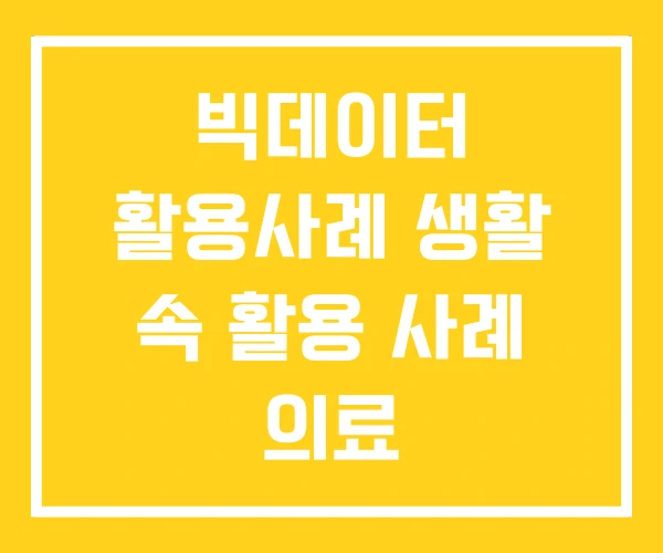 빅데이터 활용사례 생활 속 활용 사례 의료 빅데이터 활용사례 생활 속 활용 사례 의료