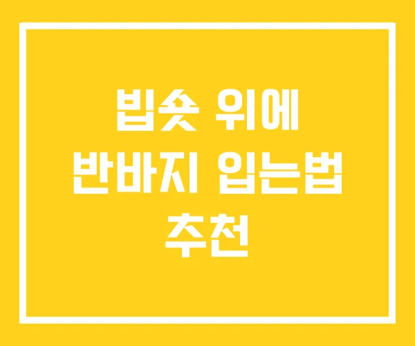 빕숏 위에 반바지 입는법 추천 빕숏 위에 반바지 입는법 추천