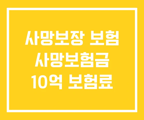 사망보장 보험 사망보험금 10억 보험료
