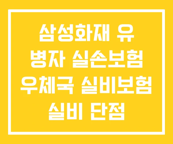 삼성화재 유 병자 실손보험 우체국 실비보험 실비 단점 삼성화재 유 병자 실손보험 우체국 실비보험 실비 단점