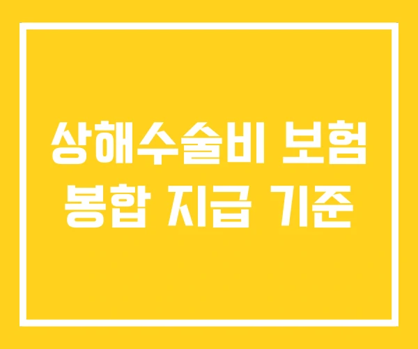 상해수술비 보험 봉합 지급 기준 상해수술비 보험 봉합 지급 기준