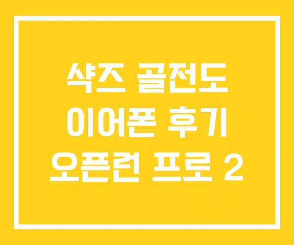 샥즈 골전도 이어폰 후기 오픈런 프로 2
