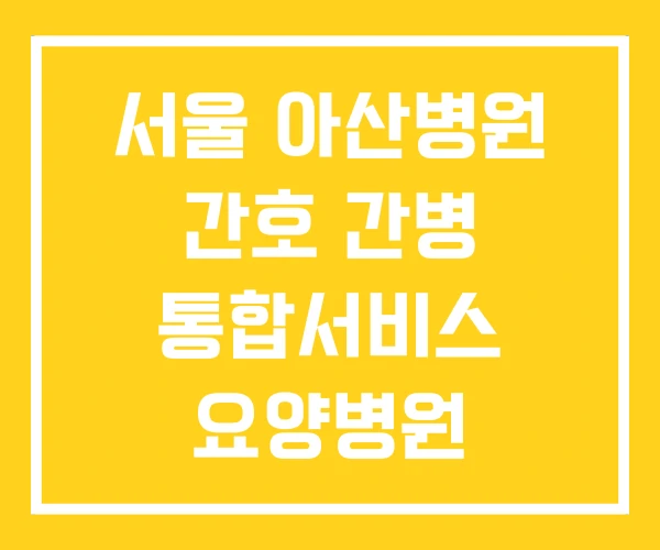 서울 아산병원 간호 간병 통합서비스 요양병원 간병서비스 서울 아산병원 간호 간병 통합서비스 요양병원 간병서비스