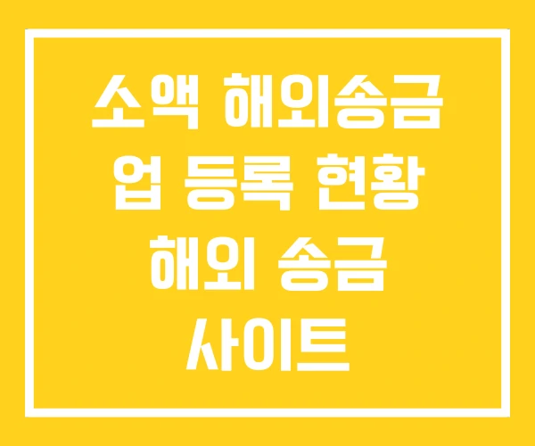 소액 해외송금 업 등록 현황 해외 송금 사이트 소액 해외송금 업 등록 현황 해외 송금 사이트