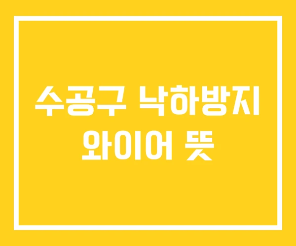 수공구 낙하방지 와이어 뜻 수공구 낙하방지 와이어 뜻