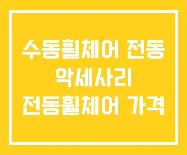 수동휠체어 전동 악세사리 전동휠체어 가격 수동휠체어 전동 악세사리 전동휠체어 가격