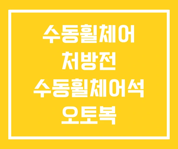 수동휠체어 처방전 수동휠체어석 오토복 수동휠체어 수동휠체어 처방전 수동휠체어석 오토복 수동휠체어