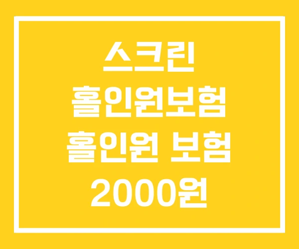 스크린 홀인원보험 홀인원 보험 2000원 500만원 스크린 홀인원보험 홀인원 보험 2000원 500만원