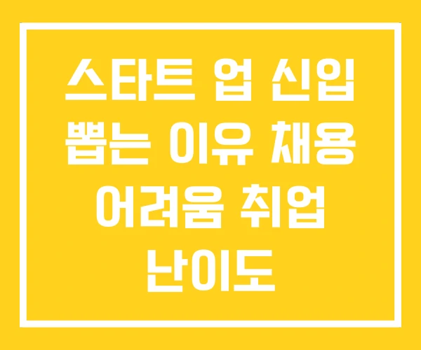 스타트 업 신입 뽑는 이유 채용 어려움 취업 난이도