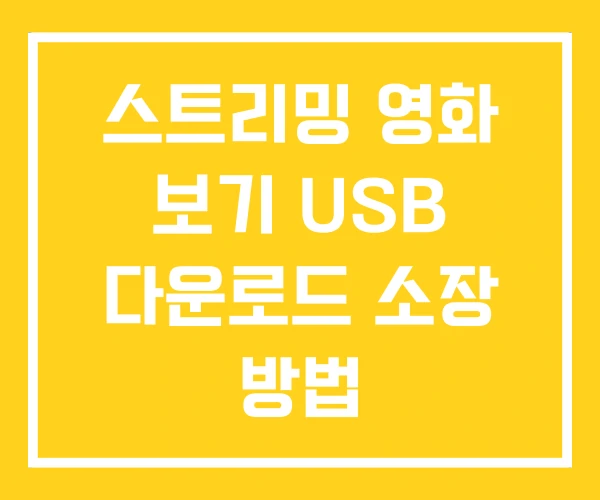 스트리밍 영화 보기 USB 다운로드 소장 방법 스트리밍 영화 보기 USB 다운로드 소장 방법
