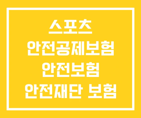 스포츠 안전공제보험 안전보험 안전재단 보험 스포츠 안전공제보험 안전보험 안전재단 보험