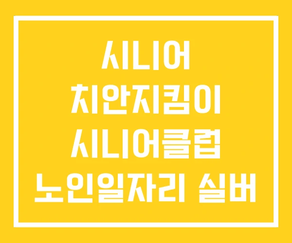 시니어 치안지킴이 시니어클럽 노인일자리 실버 컴퓨터