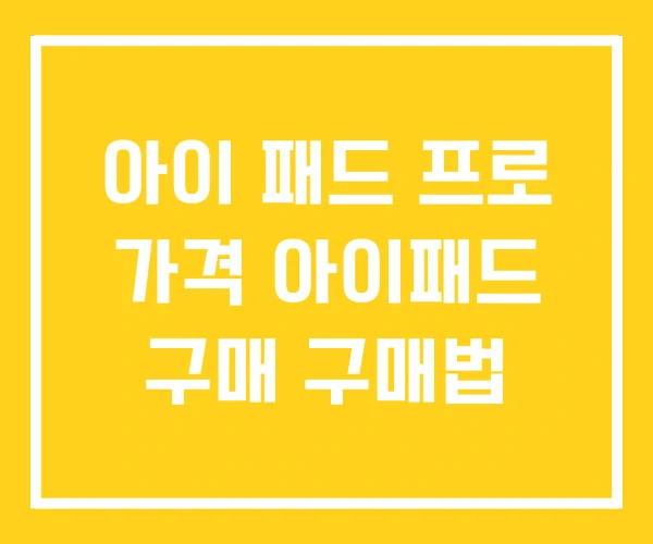 아이 패드 프로 가격 아이패드 구매 구매법 아이 패드 프로 가격 아이패드 구매 구매법