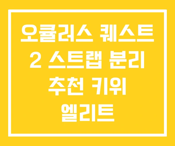 오큘러스 퀘스트 2 스트랩 분리 추천 키위 엘리트