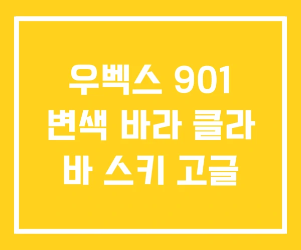우벡스 901 변색 바라 클라 바 스키 고글 우벡스 901 변색 바라 클라 바 스키 고글