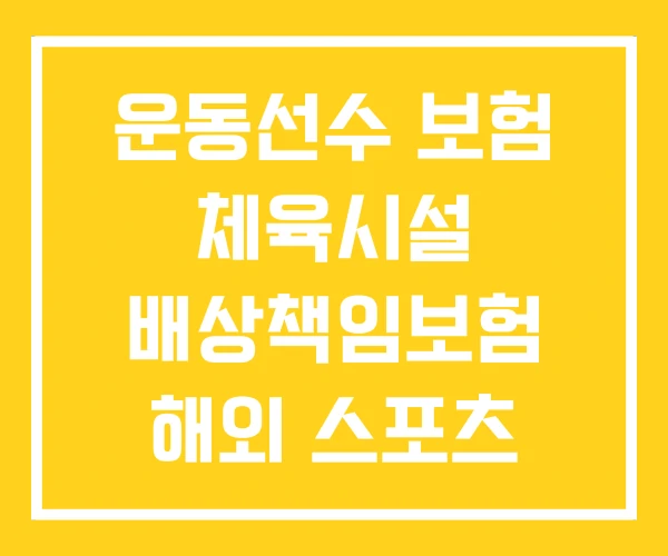운동선수 보험 체육시설 배상책임보험 해외 스포츠 운동선수 보험 체육시설 배상책임보험 해외 스포츠