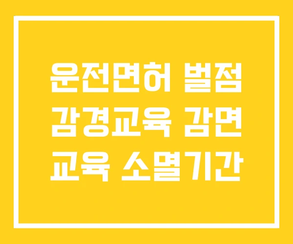 운전면허 벌점 감경교육 감면 교육 소멸기간