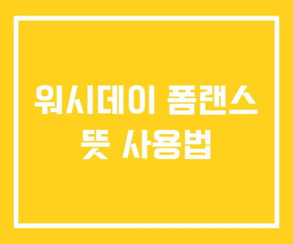 워시데이 폼랜스 뜻 사용법