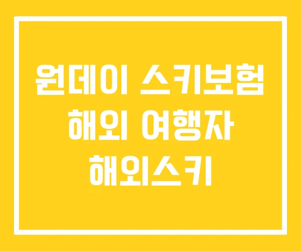원데이 스키보험 해외 여행자 해외스키