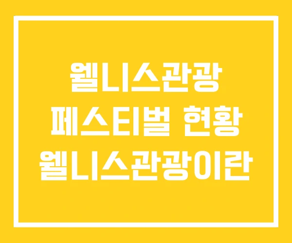 웰니스관광 페스티벌 현황 웰니스관광이란