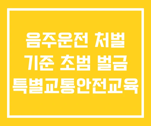 음주운전 처벌 기준 초범 벌금 특별교통안전교육 음주운전 처벌 기준 초범 벌금 특별교통안전교육