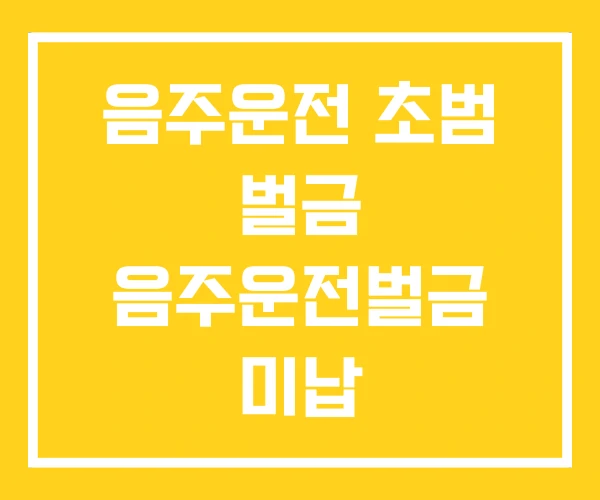 음주운전 초범 벌금 음주운전벌금 미납 음주운전벌금분납