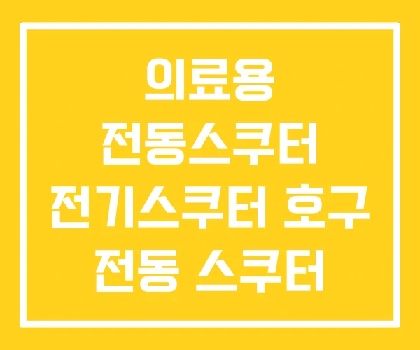 의료용 전동스쿠터 전기스쿠터 호구 전동 스쿠터 가격 의료용 전동스쿠터 전기스쿠터 호구 전동 스쿠터 가격