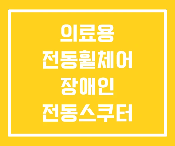 의료용 전동휠체어 장애인 전동스쿠터 보조금 지원 의료용 전동휠체어 장애인 전동스쿠터 보조금 지원