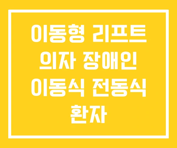이동형 리프트 의자 장애인 이동식 전동식 환자 이동형 리프트 의자 장애인 이동식 전동식 환자
