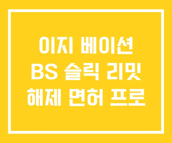 이지 베이션 BS 슬릭 리밋 해제 면허 프로 이지 베이션 BS 슬릭 리밋 해제 면허 프로