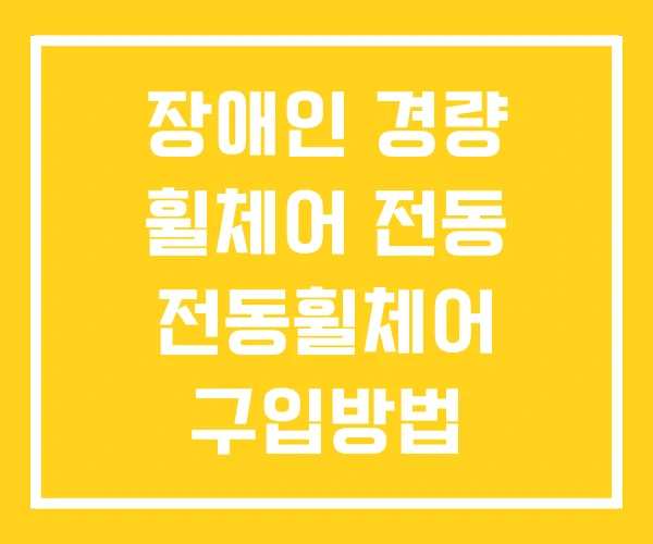 장애인 경량 휠체어 전동 전동휠체어 구입방법 장애인 경량 휠체어 전동 전동휠체어 구입방법