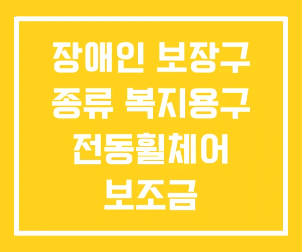장애인 보장구 종류 복지용구 전동휠체어 보조금
