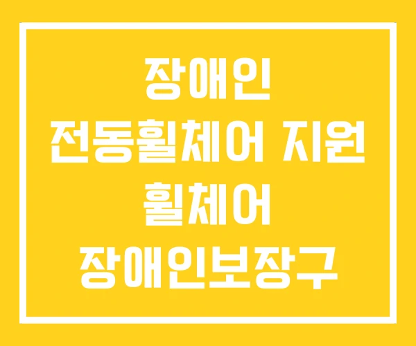 장애인 전동휠체어 지원 휠체어 장애인보장구 품목 장애인 전동휠체어 지원 휠체어 장애인보장구 품목