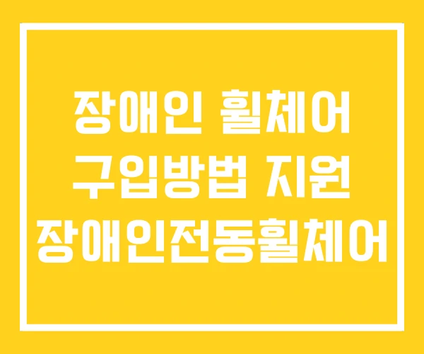 장애인 휠체어 구입방법 지원 장애인전동휠체어 장애인 휠체어 구입방법 지원 장애인전동휠체어