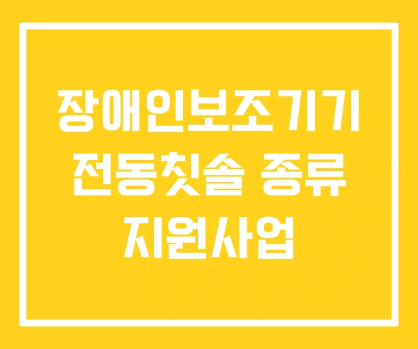 장애인보조기기 전동칫솔 종류 지원사업 장애인보조기기 전동칫솔 종류 지원사업